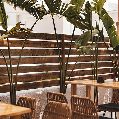 Piperaki Project Náusza